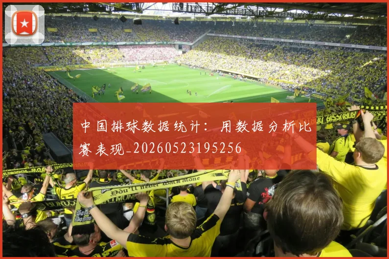 中国排球数据统计：用数据分析比赛表现_20260523195256