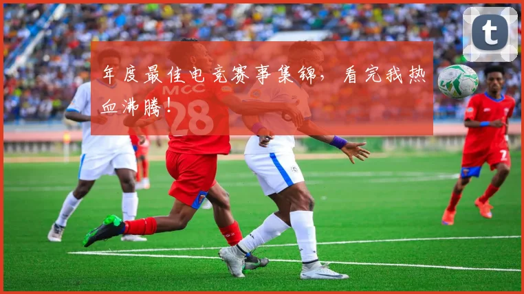 年度最佳电竞赛事集锦，看完我热血沸腾！