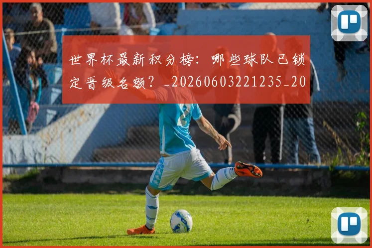 世界杯最新积分榜:哪些球队已锁定晋级名额?_20260603221235_20260703203641