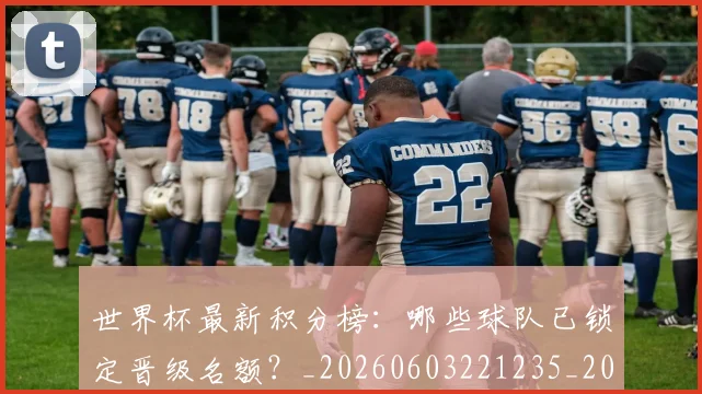 世界杯最新积分榜：哪些球队已锁定晋级名额？_20260603221235_20260703203641